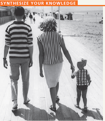    Just for fun, imagine that shirt-striping is a phenotypic character caused by a single gene. Make up a genetic explanation for the appearance of the family in the above photograph, consistent with their shirt phenotypes. Include in your answer the presumed allele combinations for shirt-striping in each family member. What is the inheritance pattern shown by the child