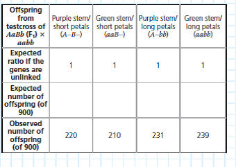 Are Two Genes Linked or Unlinked Genes that are in close proximity on the same chromosome will result in the linked alleles being inherited together more often than not. But how can you tell if certain alleles are inherited together due to linkage or whether they just happen to assort together In this exercise, you will use a simple statistical test, the chi-square ( 2) test, to analyze phenotypes of F1 testcross progeny in order to see whether two genes are linked or unlinked.  How These Experiments Are Done If genes are unlinked and assorting independently, the phenotypic ratio of offspring from an F1 testcross is expected to be 1:1:1:1 (see Figure 12.9). If the two genes are linked, however, the observed phenotypic ratio of the offspring will not match the expected ratio. Given random fluctuations in the data, how much must the observed numbers deviate from the expected numbers for us to conclude that the genes are not assorting independently but may instead be linked To answer this question, scientists use a statistical test called a chi-square ( 2) test. This test compares an observed data set to an expected data set predicted by a hypothesis (here, that the genes are unlinked) and measures the discrepancy between the two, thus determining the goodness of fit. If the discrepancy between the observed and expected data sets is so large that it is unlikely to have occurred by random fluctuation, we say there is statistically significant evidence against the hypothesis (or, more specifically, evidence for the genes being linked). If the discrepancy is small, then our observations are well explained by random variation alone. In this case, we say the observed data are consistent with our hypothesis, or that the discrepancy is statistically insignificant. Note, however, that consistency with our hypothesis is not the same as proof of our hypothesis. Also, the size of the experimental data set is important: With small data sets like this one, even if the genes are linked, discrepancies might be small by chance alone if the linkage is weak. (For simplicity, we overlook the effect of sample size here.)    Data from the Simulated Experiment In cosmos plants, purple stem ( A ) is dominant to green stem ( a ), and short petals ( B ) is dominant to long petals ( b ). In a simulated cross, AABB plants were crossed with aabb plants to generate F1 dihybrids ( AaBb ), which were then test crossed ( AaBb × aabb ). A total of 900 offspring plants were scored for stem color and flower petal length.    The goodness of fit is measured by 2. This statistic measures the amounts by which the observed values differ from their respective predictions to indicate how closely the two sets of values match. The formula for calculating this value is    where o = observed and e = expected. Calculate the 2 value for the data using the table below. Fill out the table, carrying out the operations indicated in the top row. Then add up the entries in the last column to find the 2 value  