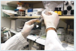 Are insulin mutations the cause of three infants' neonatal diabetes  Insulin is a hormone that acts as a key regulator of blood glucose level. In some cases of neonatal diabetes, the gene coding for the insulin protein has a nucleotide-pair substitution mutation that alters the protein structure enough to cause it to malfunction. How can you identify a nucleotide-pair substitution and determine its effect on the amino acid sequence  Now that it's possible to sequence an individual's whole genome, doctors can use that DNA sequence information to diagnose diseases and identify new treatments. For example, the insulin gene sequence of a patient with neonatal diabetes can be analyzed to determine if it has a mutation and, if so, its effect. Watch the video in the Mastering-Biology Study area to see how genome sequencing is changing medicine.      ABC News video: Using genome Sequencing to Diagnose gene-based Diseases  In this exercise, you will determine the effect of mutations present in a portion of diabetes patients' insulin gene sequences.  Your Approach Suppose you are a medical geneticist presented with three infant patients, all of whom have a nucleotide-pair substitution in their insulin gene. It is your job to analyze each mutation to figure out the effect of the mutation on the amino acid sequence of the insulin protein. To identify the mutation in each patient, you will compare his or her individual insulin complementary Dna (cDNA) sequence to that of the wild-type cDNA. (cDNA is a double-stranded DNA molecule that is based on the mRNA sequence and thus contains only the portion of a gene that is translated-introns are not included. cDNA sequences are commonly used to compare the coding regions of genes.) Identifying the codons that have been changed will tell you which, if any, amino acids are altered in the patient's insulin protein. Your Data You will analyze the cDNA codons for amino acids 35-54 (of the 110 amino acids) of each patient's insulin protein, so the start codon (AUG) is not present. The sequences of the wild-type cDNA and the patients' cDNA are shown below, arranged in codons.    Compare the structure of the amino acid you identified in each patient's insulin sequence to that of the corresponding amino acid in the wild-type insulin sequence (see Figure 5.14). Given that each patient has neonatal diabetes, discuss how the change of amino acid in each might have affected the insulin protein and thus resulted in the disease.