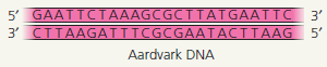 Draw I T You are cloning an aardvark gene, using a bacterial plasmid as a vector. The green diagram shows the plasmid, which contains the restriction site for the enzyme used in Figure 20.6. Above the plasmid is a segment of linear aardvark DNA that was synthesized using PCR. Diagram your cloning procedure, showing what would happen to these two molecules during each step. Use one color for the aardvark DNA and its bases and another color for those of the plasmid. Label each step and all 5 and 3 ends.      