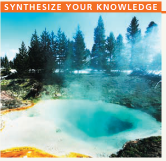 The water in the Yellowstone National Park hot springs shown here is around 160°F (70°C). Biologists assumed that no species of organisms could live in water above about 130°F (55°C), so they were surprised to find several species of bacteria there, now called thermophiles (heat-lovers). You've learned in this chapter how an enzyme from one species, Thermus aquaticus, made feasible one of the most important DNA-based techniques used in labs today. What was the enzyme, and what was the value of its being isolated from a thermophile Can you think of reasons other enzymes from this bacterium (or other thermophiles) might also be valuable