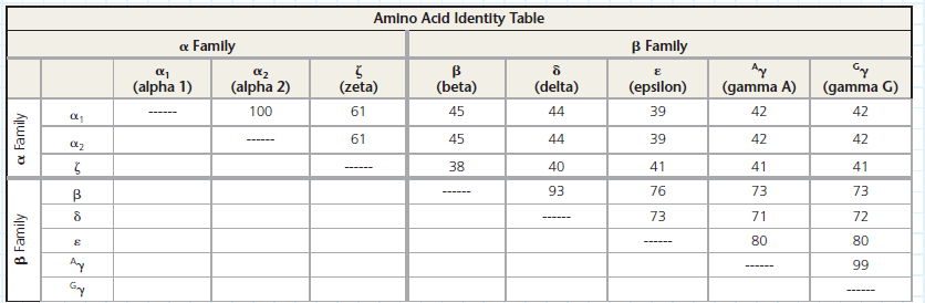 How Have Amino Acid Sequences of Human Globin Genes Diverged During Their Evolution To build a model of the evolutionary history of the globin genes (see Figure 18.13), researchers compared the amino acid sequences of the polypeptides they encode. In this exercise, you will analyze comparisons of the amino acid sequences of globin polypeptides to shed light on their evolutionary relationships.    How the Experiment Was Done Scientists obtained the DNA sequences for each of the eight globin genes and translated them into amino acid sequences. They then used a computer program to align the sequences (with dashes indicating gaps in one sequence) and calculate a percent identity value for each pair of globins. The percent identity reflects the number of positions with identical amino acids relative to the total number of amino acids in a globin polypeptide. The data were arranged in a table to show the pairwise comparisons. Data from the Experiment The following table shows an example of a pairwise alignment-that of the 1-globin (alpha-1 globin) and -globin (zeta globin) amino acid sequences-using the standard single-letter codes for amino acids. To the left of each line of amino acid sequence is the number of the first amino acid in that line. The percent identity value for the 1- and -globin amino acid sequences was calculated by counting the number of matching amino acids (86, highlighted in yellow), dividing by the total number of amino acid positions (143), and then multiplying by 100. This resulted in a 60% identity value for the 1- pair, as shown in the amino acid identity table at the bottom of the page. The values for other globin pairs were calculated in the same way.      Make a list of all the percent identity values from the table, starting with 100% at the top. Next to each number write the globin pair(s) with that percent identity value. Use one color for the globins from the family and a different color for the globins from the family. (a) Compare the order of pairs on your list with their positions in the model shown in Figure 18.13. Does the order of pairs describe the same relative closeness of globin family members seen in the model (b) Compare the percent identity values for pairs within the or group to the values for between-group pairs.