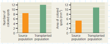 Can Predation Result in Natural Selection for Color Patterns in Guppies What we know about evolution changes constantly as new observations lead to new hypotheses-and hence to new ways to test our understanding of evolutionary theory. Consider the wild guppies ( Poecilia reticulata ) that live in pools connected by streams on the Caribbean island of Trinidad. Male guppies have highly varied color patterns that are controlled by genes that are only expressed in adult males. Female guppies choose males with bright color patterns as mates more often than they choose males with drab coloring. But the bright colors that attract females also can make the males more conspicuous to predators. Researchers observed that in pools with few predator species, the benefits of bright colors appear to win out, and males are more brightly colored than in pools where predation is more intense. One guppy predator, the killifish, preys on juvenile guppies that have not yet displayed their adult coloration. Researchers predicted that if guppies with drab colors were transferred to a pool with only killifish, eventually the descendants of these guppies would be more brightly colored (because of the female preference for brightly colored males). How the Experiment Was Done Researchers transplanted 200 guppies from pools containing pike-cichlid fish, intense guppy predators, to pools containing killifish, less active predators that prey mainly on juvenile guppies. They tracked the number of bright-colored spots and the total area of those spots on male guppies in each generation.    Data from the Experiment After 22 months (15 generations), researchers compared the color pattern data for guppies from the source and transplanted populations.    Explain how the types of data the researchers chose to collect enabled them to test their prediction.