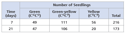 Using the Hardy-Weinberg Equation to Interpret Data and Make Predictions  Is Evolution Occurring in a Soybean Population One way to test whether evolution is occurring in a population is to compare the observed genotype frequencies at a locus with those expected for a non-evolving population based on the Hardy-Weinberg equation. In this exercise, you'll test whether a soybean population is evolving at a locus with two alleles, C G and C Y , that affect chlorophyll production and hence leaf color. How the Experiment Was Done Students planted soybean seeds and then counted the number of seedlings of each genotype at day 7 and again at day 21. Seedlings of each genotype could be distinguished visually because the C G and C Y alleles show incomplete dominance: C G C G seedlings have green leaves, C G C Y seedlings have green-yellow leaves, and C Y C Y seedlings have yellow leaves. Data from the Experiment      Next, use the hardy-Weinberg equation ( p 2 + 2 pq + q 2 = 1) to calculate the day 7 expected frequencies of genotypes C G C G , C G C Y , and C Y C Y for a population in hardy-Weinberg equilibrium.
