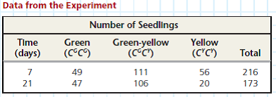 Using the Hardy-Weinberg Equation to Interpret Data and Make Predictions Is Evolution Occurring in a Soybean Population One way to test whether evolution is occurring in a population is to compare the observed genotype frequencies at a locus with those expected for a nonevolving population based on the Hardy-Weinberg equation. In this exercise, you'll test whether a soybean population is evolving at a locus with two alleles, C G and C Y , that affect chlorophyll production and hence leaf color. How the Experiment Was Done Students planted soybean seeds and then counted the number of seedlings of each genotype at day 7 and again at day 21. Seedlings of each genotype could be distinguished visually because the C G and C Y alleles show incomplete dominance: C G C G seedlings have green leaves, C G C Y seedlings have green-yellow leaves, and C Y C Y seedlings have yellow leaves.    Calculate the observed frequencies of genotypes C G C G , C G C Y , and C Y C Y at day 21. Compare these frequencies to the expected frequencies calculated in step 2 and the observed frequencies at day 7. Is the seedling population in Hardy-Weinberg equilibrium at day 21, or is evolution occurring Explain your reasoning and identify which genotypes, if any, appear to be selected for or against.