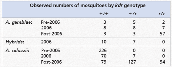 Is hybridization promoting insecticide resistance in mosquitoes that transmit malaria  Malaria is a leading cause of human illness and mortality worldwide, witH₂00 million people infected and 600,000 deaths each year. In the 1960s, the incidence of malaria was reduced owing to the use of insecticides that killed mosquitoes in the genus Anopheles , which transmit the disease from person to person. But today, mosquitoes are becoming resistant to insecticides-causing a resurgence in malaria.      Insecticide-treated bed nets have helped reduce cases of malaria in many countries, but resistance to insecticides is rising in mosquito populations.    Instructors : A version of this Problem-Solving Exercise can be assigned in MasteringBiology. In this exercise, you will investigate whether alleles encoding resistance to insecticides have been transferred between closely related species of Anopheles.  Your Approach  The principle guiding your investigation is that DNA analyses can detect the transfer of resistance alleles between closely related mosquito species. To find out whether such transfers have occurred, you will analyze DNA results from two species of mosquitoes that transmit malaria ( Anopheles gambiae and A. coluzzii ) and from A. gambiae × A. coluzzii hybrids. Your Data  Resistance to DDT and other insecticides in Anopheles is affected by a sodium channel gene, kdr. The r allele of this gene confers resistance, while the wild type (1/1) genotype is not resistant. researchers sequenced the kdr gene from mosquitoes collected in Mali during three time periods: pre-2006 (2002 and 2004), 2006, and post-2006 (2009-2012). A. gambiae and A. coluzzii were collected during all three time periods, but their hybrids only occurred in 2006, the first year that insecticide-treated bed nets were used to reduce the spread of malaria. A likely explanation is that the introduction of the treated bed nets may have briefly favored hybrid individuals, which are usually at a selective disadvantage.    How did the frequencies of kdr genotypes change over time in A. coluzzii Describe a hypothesis that accounts for these observations.