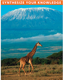If you were to hike up Mount Kilimanjaro in Tanzania, you would pass through several habitats, including savanna at the base, forest on the slopes, and alpine tundra near the top. Explain how such diverse habitats can be found at one location near the equator.