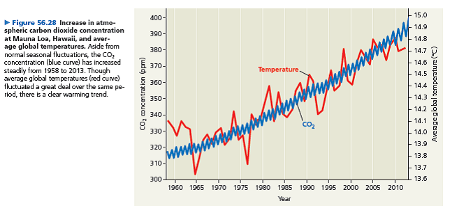 (a) Referring to Figure 56.28, estimate the average CO₂ concentration in 1975 and in 2012. (b) What was the rate of CO₂ concentration increase (ppm/yr) from 1975 tO₂012 (c) Assuming that the CO₂ concentration continues to rise as fast as it did from 1975 tO₂012, what will be the approximate CO₂ concentration in 2100 (d) Draw a graph of average CO₂ concentration from 1975 tO₂012 and then use a dashed line to extend the graph to the year 2100. (e) What ecological factors and human decisions will influence the actual rise in CO₂ concentration (f) How might additional scientific data help societies predict this value  <div style=padding-top: 35px> 