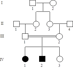 Thiamine-responsive megaloblastic anemia is a rare autosomal recessive condition that causes anemia, diabetes mellitus, and hearing loss. It is treatable with high doses of thiamine. a.Which individuals in the pedigree below must be carriers? b.What is the special relationship that led to the illness in two members of the fourth generation?   