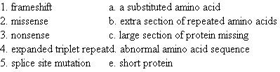 Match the type of mutation to its definition.