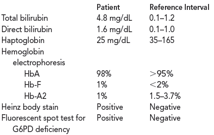 Stephen, a 28-year-old Caucasian male of Italian descent, became progressively ill following a safari vacation to West Africa. The patient arrived at the emergency room (ER) for evaluation following several days of fever, chills, and malaise. The advent of hemoglobinuria prompted the patient to seek emergency aid. A clinical history and physical examination supported a diagnosis of anemia. Because Stephen had recently returned from a malarial endemic area, the physician first suspected malaria although the patient had been on primaquine preventive drug therapy while traveling abroad. Blood smears examined for malaria, however, resulted in a negative diagnosis.  Consider what additional laboratory tests could help identify the cause of Stephen's anemia.  In addition to malaria screening, the ER physician also ordered a CBC with the following results:    Stephen was admitted for identification and treatment of the anemia. More lab tests were ordered with the following results:    Explain how Heinz body inclusions cause damage to the erythrocyte membrane.
