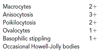 Kathy, a 36-year-old female, experienced a recent 35-lb weight loss. Her tongue was red and fissured. She also complained of chronic fatigue and shortness of breath upon exertion. Physical examination suggested signs of jaundice and increased numbness and a tingling sensation of fingers and toes. She was hospitalized with the general diagnosis of moderate anemia, jaundice, and neurological symptoms. Her admitting CBC demonstrated the following laboratory results:    The following abnormal erythrocyte morphology was reported:    Consider the reflex tests that might be important in identifying the etiology of this anemia. Based on the initial CBC results, further testing was ordered with the following results:    Examination of a bone marrow aspirate revealed an erythroblastic hyperplasia with megaloblastic erythroblasts.  What further testing can be done to obtain a definitive diagnosis?