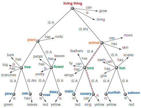 In this chapter we have seen how networks can be constructed that link different levels of concepts. In Chapter 7 we saw how networks can be constructed that organize knowledge about a particular topic (see Figure). Create a network that represents the material in this chapter by linking together things that are related. How is this network similar to or different from the semantic network in Figure? Is your network hierarchical? What information does it contain about each concept? The Figure shows an organized tree for some of the material about encoding presented in this section of the chapter. The Figure shows a Collins and Quillian?s (1969) semantic network. Specificconcepts are indicated in color. Properties of concepts are indicated at the nodes for each concept. Additional properties of a concept can be determined by moving up the network, along the lines connecting the concepts. For example, moving from ?canary? up to ?bird? indicates that canaries have feathers and wings and can fly. The dashed lines indicate the distance in the network from canary to bird and from bird to animal.