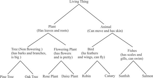 A concept is the understanding of language or something which involves other cognitive functions such as memory and reasoning. The main function of concepts is to group different things into categories depending on its characteristics and this makes the understanding of world very easily. Depending on the concepts and categories, semantic network has been constructed by Allan Collins and Quillian. This network consisted of nodes which represent a particular category or concept and are connected by links depending on their properties.   The Figure shows a Tree representing an example of a semantic network The above tree is similar to semantic network in a way that to describe one of the concepts, such as oak tree, we have to travel from below as in semantic network. Oak is a tree category which does not produce flowers but has barks and branches, and comes under plant category and is a living thing. The above tree is different from the semantic network in a way that it does not contain any node. The properties of plant and animals are mentioned right below the category without extending any links for mentioning them. Yes, the above tree is hierarchical as the concepts are organized according to the levels of importance. All the concepts are arranged with a single uppermost element. The information contained at each concept or level of concepts is their property. For example, properties of Salmon is mentioned at its uppermost element that it has scales and gills, it can swim, it is a type of fish, it comes under animal category and is a living thing.