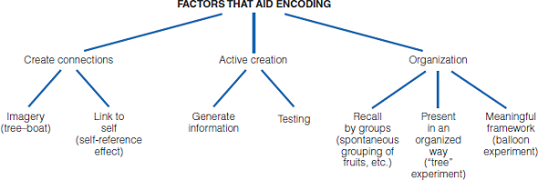 In this chapter we have seen how networks can be constructed that link different levels of concepts. In Chapter 7 we saw how networks can be constructed that organize knowledge about a particular topic (see Figure). Create a network that represents the material in this chapter by linking together things that are related. How is this network similar to or different from the semantic network in Figure? Is your network hierarchical? What information does it contain about each concept? Figure 1 : An organized tree for some of the material about encoding presented in this section of the chapter.    Figure 2: Collins and Quillian?s (1969) semantic network. Specificconcepts are indicated in color. Properties of concepts are indicated at the nodes for each concept. Additional properties of a concept can be determined by moving up the network, along the lines connecting the concepts. For example, moving from ?canary? up to ?bird? indicates that canaries have feathers and wings and can fly. The dashed lines indicate the distance in the network from canary to bird and from bird to animal. (Source: Adapted from T. T. Rogers J. L. McClelland, Semantic cognition: A parallel distributed processing approach , Cambridge, MA: MIT Press, 2004.)    