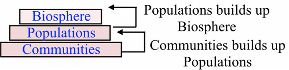 Biological organization is the placing of an organism according to its complexity with each level becoming more complex than the prior level. The Biological organization is as follows:     The organ which is within the organ system is composed of tissues. The tissues form an aggregation to form the organs of all the organisms. Therefore, tissues fall within the organs as they are more complex than them. The organs which are formed by the tissues will make the organ system. The organ system is composed of many organs that perform a different function. So, the option (A) is a true statement.   Therefore, the option (A) is incorrect.   A cell can be defined as a basic biological, functional and structural unit of life. A typical eukaryotic cell has several types of organelles. The organelles are the membrane-bound structures present in a cell and suspended in the cytoplasm. Organelles are parts of cells like organs are to the body, so the suffix - elle being a diminutive. Examples of cellular organelles include mitochondria, smooth endoplasmic reticulum, rough endoplasmic reticulum, nucleus, vacuoles, vesicles, Golgi apparatus and cell membrane. Picture of a eukaryotic cell with several organelles is as follows:   So, many organelles and a nucleus form a cell and a group of cells called a tissue. So, the option (C) is a true statement.  Therefore, the option (C) is incorrect.   An aggregation of many communities forms an ecosystem while many ecosystems form a biosphere which is the most complex in biological organization. So, the option (D) is a true statement.   Therefore, the option (D) is incorrect.   Communities are composed of many interacting populations living together. Communities do not exist within the population as they are more complex than population. The ecosystem is composed of many communities within which many populations persist. This statement B does not follow the biological organization which states that with each level the complexity should be more than the prior level. So, the option (B) is a true statement. Therefore, the option   is correct.