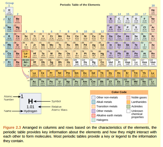 Figure 2.3 How many neutrons do (K) potassium-39 and potassium-40 have, respectively?