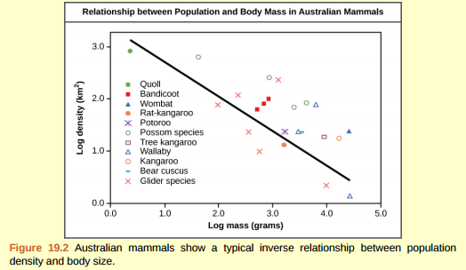 Figure 19.2 As this graph shows, population density typically decreases with increasing body size. Why do you think this is the case?