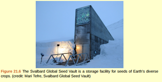 Figure 21.6 The Svalbard seed vault is located on Spitsbergen island in Norway, which has an arctic climate. Why might an arctic climate be good for seed storage?