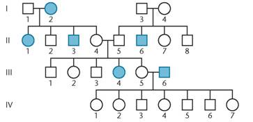 When working out genetics problems in this and succeeding chapters, always assume that members of the P 1 generation are homozygous, unless the information or data you are given require you to do otherwise. Consider the following pedigree.   Predict the mode of inheritance of the trait of interest and the most probable genotype of each individual. Assume that the alleles A and a control the expression.<div style=padding-top: 35px> 