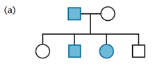 When working out genetics problems in this and succeeding chapters, always assume that members of the P 1 generation are homozygous, unless the information or data you are given require you to do otherwise. Draw all possible conclusions concerning the mode of inheritance of the trait portrayed in each of the following limited pedigrees. (Each of the four cases is based on a different trait.)        <div style=padding-top: 35px> 