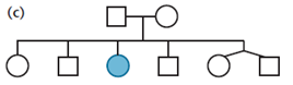 When working out genetics problems in this and succeeding chapters, always assume that members of the P 1 generation are homozygous, unless the information or data you are given require you to do otherwise. Draw all possible conclusions concerning the mode of inheritance of the trait portrayed in each of the following limited pedigrees. (Each of the four cases is based on a different trait.)        <div style=padding-top: 35px> 