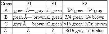 In a species of the cat family, eye color can be gray, blue, green, or brown, and each trait is true breeding. In separate crosses involving homozygous parents, the following data were obtained:    (a) Analyze the data. How many genes are involved? Define gene symbols and indicate which genotypes yield each phenotype. (b) In a cross between a gray-eyed cat and one of unknown genotype and phenotype, the F 1 generation was not observed. However, the F 2 resulted in the same F 2 ratio as in cross C. Determine the genotypes and phenotypes of the unknown P 1 and F 1 cats.