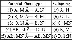Five human matings (1-5), identified by both maternal and paternal phenotypes for ABO and MN blood-group antigen status, are shown on the left side of the following table:    Each mating resulted in one of the five offspring shown in the right-hand column (a-e). Match each offspring with one correct set of parents, using each parental set only once. Is there more than one set of correct answers?
