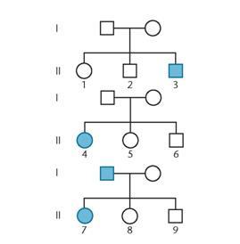 Consider the three pedigrees at the top of the right column, all involving a single human trait. (a) Which combination of conditions, if any, can be excluded? dominant and X-linked dominant and autosomal recessive and X-linked recessive and autosomal (b) For each combination that you excluded, indicate the single individual in generation II (e.g., II-1, II-2) that was most instrumental in your decision to exclude it. If none were excluded, answer  none apply.      (c) Given your conclusions in part (a), indicate the genotype of the following individuals: II-1, II-6, II-9 If more than one possibility applies, list all possibilities. Use the symbols A and a for the genotypes.