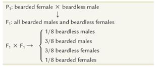 In goats, the development of the beard is due to a recessive gene. The following cross involving true-breeding goats was made and carried to the F 2 generation:     Offer an explanation for the inheritance and expression of this trait, diagramming the cross. Propose one or more crosses to test your hypothesis.
