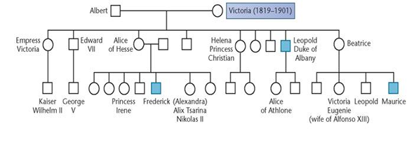 Below is a partial pedigree of hemophilia in the British Royal Family descended from Queen Victoria, who is believed to be the original  carrier  in this pedigree. Analyze the pedigree and indicate which females are also certain to be carriers. What is the probability that Princess Irene is a carrier?   
