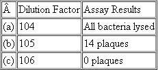 A phage-infected bacterial culture was subjected to a series of dilutions, and a plaque assay was performed in each case, with the results shown in the following table. What conclusion can be drawn in the case of each dilution, assuming that 0.1 mL was used in each plaque assay?