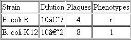 In studies of recombination between mutants 1 and 2 from the previous problem, the results shown in the following table were obtained.   (a) Calculate the recombination frequency. (b) When mutant 6 was tested for recombination with mutant 1, the data were the same as those shown above for strain B, but not for K12. The researcher lost the K12 data, but remembered that recombination was ten times more frequent than when mutants 1 and 2 were tested. What were the lost values (dilution and colony numbers)? (c) Mutant 7 (Problem 22) failed to complement any of the other mutants (1-6). Define the nature of mutant 7. During the analysis of seven rII mutations in phage T4, mutants 1, 2, and 6 were in cistron A, while mutants 3, 4, and 5 were in cistron B. Of these, mutant 4 was a deletion overlapping mutant 5. The remainder were point mutations. Nothing was known about mutant 7. Predict the results of complementation (+ or -) between 1 and 2; 1 and 3; 2 and 4; and 4 and 5.<div style=padding-top: 35px> 