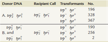 In Bacillus subtilis , linkage analysis of two mutant genes affecting the synthesis of two amino acids, tryptophan ( trp- ) and tyrosine ( tyr- ) , was performed using transformation. Examine the following data and draw all possible conclusions regarding linkage. What is the purpose of Part B of the experiment? [Reference: E. Nester, M. Schafer, and J. Lederberg (1963).]  <div style=padding-top: 35px> 