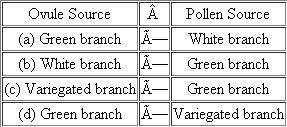 A plant may have green, white, or green-and-white (variegated) leaves on its branches, owing to a mutation in the chloroplast that prevents color from developing. Predict the results of the following crosses:   