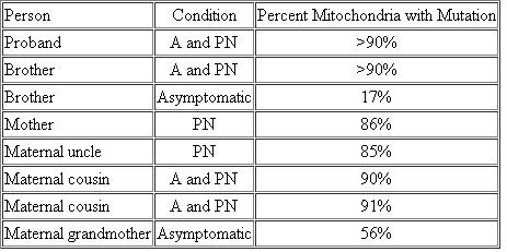 Researchers examined a family with an interesting distribution of Leigh syndrome symptoms. In this disorder, individuals may show a progressive loss of motor function (ataxia, A) with peripheral neuropathy (PN, meaning impairment of the peripheral nerves). A mitochondrial DNA (mtDNA) mutation that reduces ATPase activity was identified in various tissues of affected individuals. The accompanying table summarizes the presence of symptoms in an extended family.   (a) Develop a pedigree that summarizes the information presented in the table. (b) Provide an explanation for the pattern of inheritance of the disease. What term describes this pattern? (c) How can some individuals in the same family show such variation in symptoms? What term, as related to organelle heredity, describes such variation? (d) In what way does a condition caused by mtDNA differ in expression and transmission from a mutation that causes albinism?<div style=padding-top: 35px> 