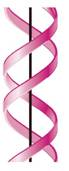 Considering the information in this chapter on B-and Z-DNA and right-and left-handed helices, carefully analyze structures (a) and (b) below and draw conclusions about their helical nature. Which is right handed and which is left handed? (a)   (b)  <div style=padding-top: 35px> 