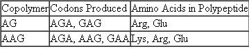 In a coding experiment using repeating copolymers (as demonstrated in Table), the following data were obtained:    AGG is known to code for arginine. Taking into account the wobble hypothesis, assign each of the four codons produced in the experiment to its correct amino acid. Table Amino Acids Incorporated Using Repeated Synthetic Copolymers of RNA    
