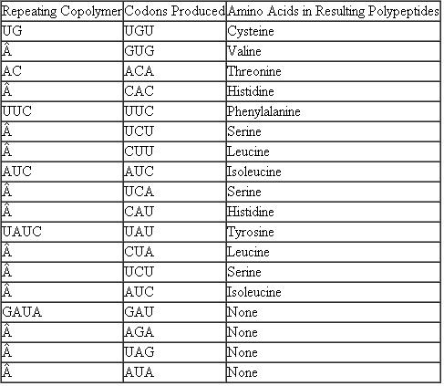 In a coding experiment using repeating copolymers (as demonstrated in Table), the following data were obtained:    AGG is known to code for arginine. Taking into account the wobble hypothesis, assign each of the four codons produced in the experiment to its correct amino acid. Table Amino Acids Incorporated Using Repeated Synthetic Copolymers of RNA    