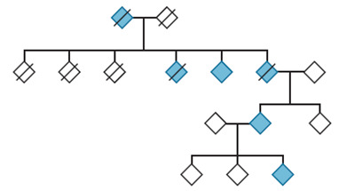 The fidelity of translation is dependent on the reliable action of aminoacyl tRNA synthetases that ensure the association of only one type of amino acid with a specific tRNA. Two relatively rare human conditions, Charcot-Marie-Tooth disease 2D (CMT2D) and distal spinal muscular atrophy type V (dSMA-V), are neuropathologies of the peripheral axons that map to a well-defined region of the short arm of chromosome 7, as does the gene for glycyl tRNA synthetase. Families with CMT2D or dSMA-V have been identified with missense mutations in the gene for glycyl tRNA synthetase; and the mutations present in CMT2D and dSMA-V have been found to result in a loss of activity of glycyl tRNA synthetase (Antonellis et al., 2003). A sample pedigree (from Antonellis et al., 2003) is presented here (to maintain anonymity, sexes are not provided). (a) Considering the following pedigree and the function of aminoacyl tRNA synthetases in general, would you conclude that the genes causing these diseases are dominant or recessive in their action? (b) Considering the vital role that synthetases play in protein synthesis, speculate as to how individuals might survive with such a defect in translational efficiency. (c) Why might some tissues (neural) be more affected than others?