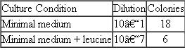 In a bacterial culture in which all cells are unable to synthesize leucine ( leu - ), a potent mutagen is added, and the cells are allowed to undergo one round of replication. At that point, samples are taken, a series of dilutions is made, and the cells are plated on either minimal medium or minimal medium containing leucine. The first culture condition (minimal medium) allows the growth of only leu + cells, while the second culture condition (minimal medium with leucine added) allows growth of all cells. The results of the experiment are as follows:    What is the rate of mutation at the locus associated with leucine biosynthesis?