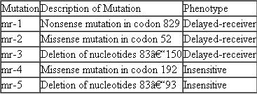 Among Betazoids in the world of Star Trek ® , the ability to read minds is under the control of a gene called mindreader (abbreviated mr ). Most Betazoids can read minds, but rare recessive mutations in the mr gene result in two alternative phenotypes: delayed-receivers and insensitives. Delayed-receivers have some mind-reading ability but perform the task much more slowly than normal Betazoids. Insensitives cannot read minds at all. Betazoid genes do not have introns, so the gene only contains coding DNA. It is 3332 nucleotides in length, and Betazoids use a four-letter genetic code. The following table shows some data from five unrelated mr mutations.    For each mutation, provide a plausible explanation for why it gives rise to its associated phenotype and not to the other phenotype. For example, hypothesize why the mr-1 nonsense mutation in codon 829 gives rise to the milder delayed-receiver phenotype rather than the more severe insensitive phenotype. Then repeat this type of analysis for the other mutations. (More than one explanation is possible, so be creative within plausible bounds!)