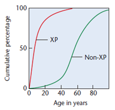 Skin cancer carries a lifetime risk nearly equal to that of all other cancers combined. Following is a graph (modified from Kraemer, 1997. Proc. Natl. Acad. Sci. (USA) 94: 11-14) depicting the age of onset of skin cancers in patients with or without XP, where the cumulative percentage of skin cancer is plotted against age. The non-XP curve is based on 29,757 cancers surveyed by the National Cancer Institute, and the curve representing those with XP is based on 63 skin cancers from the Xeroderma Pigmentosum Registry. (a) Provide an overview of the information contained in the graph. (b) Explain why individuals with XP show such an early age of onset.   
