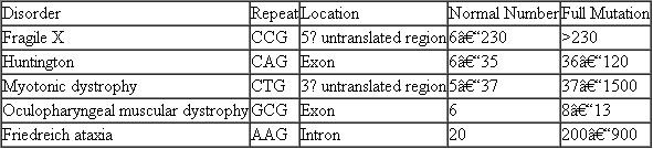 A variety of neural and muscular disorders are associated with expansions of trinucleotide repeat sequences. The table below lists several disorders, the repeat motifs, their locations, the normal number of repeats, and the number of repeats in the full mutations. (a) Most disorders attributable to trinucleotide repeats result from expansion of the repeats. Two mechanisms are often proposed to explain repeat expansion: (1) unequal synapsis and crossing over and (2) errors in DNA replication where single-stranded, base-paired loops are formed that conflict with linear replication. Present a simple sketch of each mechanism. (b) Notice that some of the repeats occur in areas of the gene that are not translated. How can a mutation occur if the alteration is not reflected in an altered amino acid sequence? (c) In the two cases where the repeat expansions occur in exons, the extent of expansion is considerably less than when the expansion occurs outside exons. Present an explanation for this observation.   