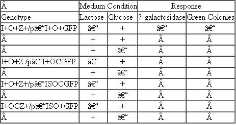 A reporter gene-that is, a gene whose activity is relatively easy to detect-is commonly used to study promoter activity under a variety of investigative circumstances. Recombinant DNA technology is used to attach such a reporter gene to the promoter of interest, after which the recombinant molecule is inserted by transformation or transfection into the cell or host organism of choice. Green fluorescent protein (GFP) from the jellyfish Aequorea victoria fluoresces green when exposed to blue light. Assume that you wished to study the regulatory apparatus of the lac operon and you developed a plasmid ( p ) that contained all the elements of the lac operon except that you replaced the lac structural genes with the GFP gene (your reporter gene). You used this plasmid to transform E. coli. Considering the following genotypes, under which of the following conditions would you expect ? -galactosidase production and/or green colonies when examined under blue light?