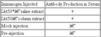 One of the major causes of sickness, death, and economic loss in the cattle industry is Mannheimia haemolytica , which causes bovine pasteurellosis, or shipping fever. Noninvasive delivery of a vaccine using transgenic plants expressing immunogens would reduce labor costs and trauma to livestock. An early step toward developing an edible vaccine is to determine whether an injected version of an antigen (usually a derivative of the pathogen) is capable of stimulating the development of antibodies in a test organism. The following table assesses the ability of a transgenic portion of a toxin (Lkt) of M. haemolytica to stimulate development of specific antibodies in rabbits.    *Lkt50 is a smaller derivative ofLkt that lacks all hydrophobic regions. + indicates at least 50 percent neutralization of toxicity of Lkt; - indicates no neutralization activity. Source: Modified from Lee et al. 2001. Infect. and Immunity 69: 5786-5793. (a) What general conclusion can you draw from the data? (b) With regards to development of a usable edible vaccine, what work remains to be done?