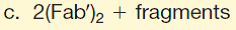 Papain cleaves an antibody molecule to A) its heavy and light chains B) 2 Fab + 1 Fc D) J chains