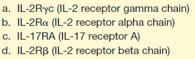Which of the following cytokine receptor subunits possesses no signaling capacity but acts as an affinity modulator?