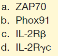 Gene therapy for X-linked SCID involves reconstitution with the gene that codes for  