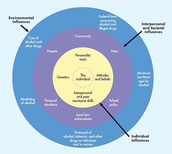 Figure lists many factors that can influence drug use. Design and detail a drug prevention program by selecting any one of the concentric circles; include all factors within that circle and how you would deal with these factors. Figure Potential factors that influence alcohol and other drug use.
